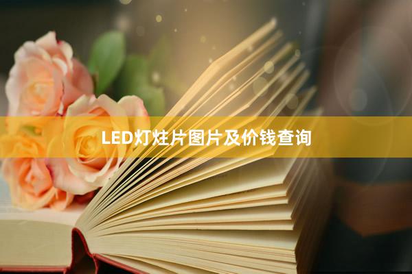 LED灯炷片图片及价钱查询